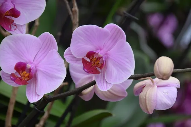  Strona 17