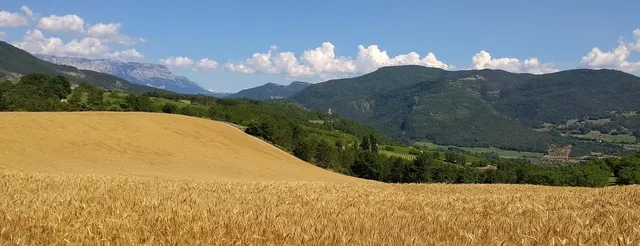  Strona 38