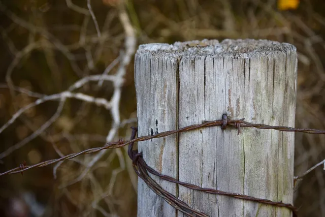  Strona 40